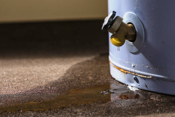 Best 24-hour water damage restoration  in Woodville, OH
