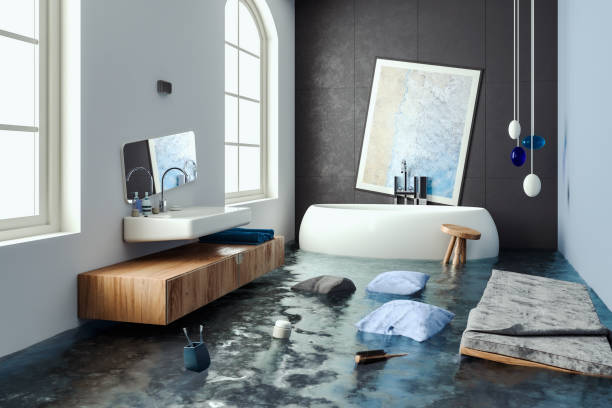 Best Water damage cleanup near me  in Woodville, OH