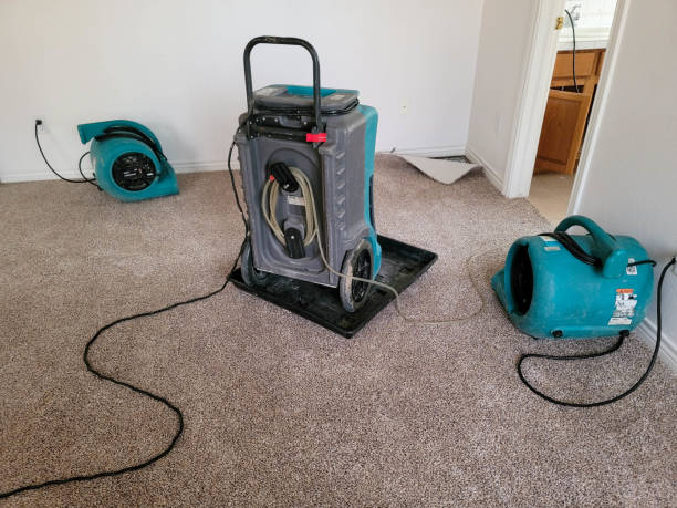Best Basement water damage restoration  in Woodville, OH