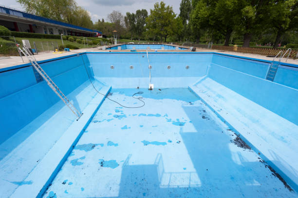 Best Water damage contractors near me  in Woodville, OH