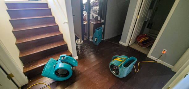 Best Residential water damage restoration  in Woodville, OH