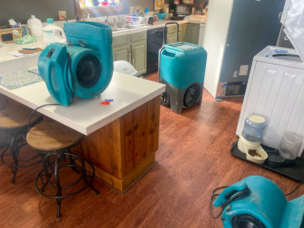 Best Flooded house restoration  in Woodville, OH