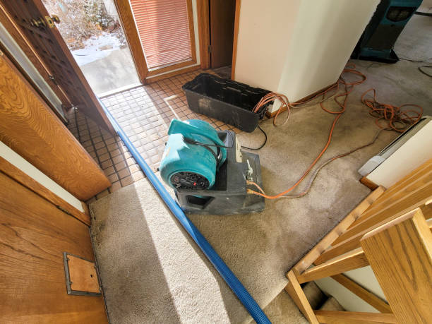 Best Water damage restoration near me  in Woodville, OH