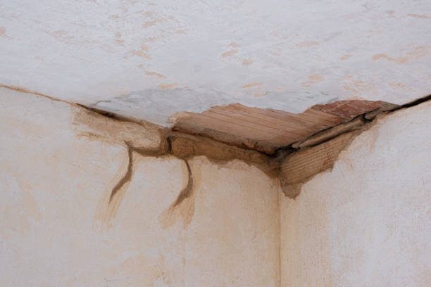 Best Carpet water damage restoration  in Woodville, OH