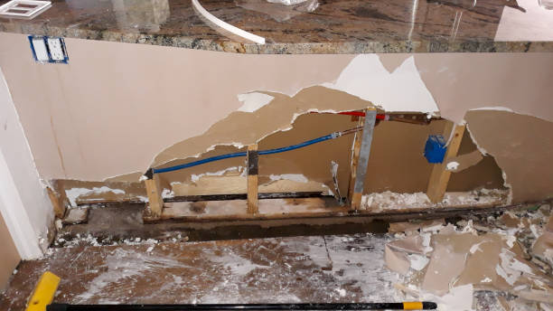 Best Local water damage restoration  in Woodville, OH