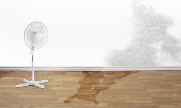 Best Emergency water damage restoration  in Woodville, OH