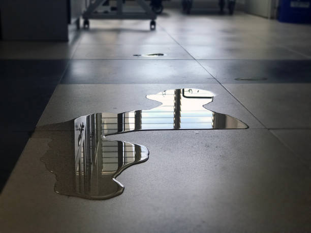 Best Commercial water damage restoration  in Woodville, OH