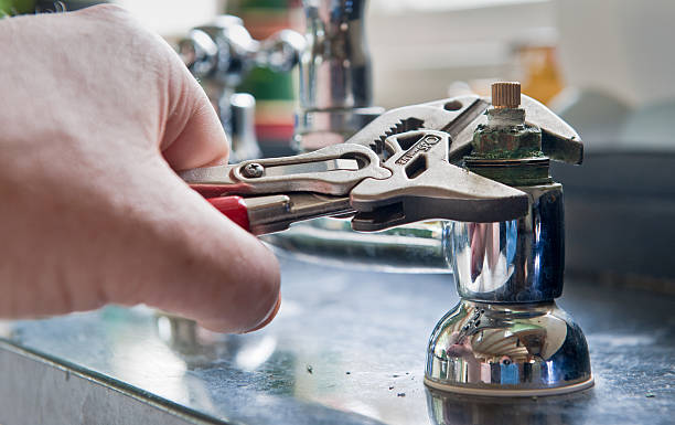 Best Carpet water damage restoration  in Woodville, OH