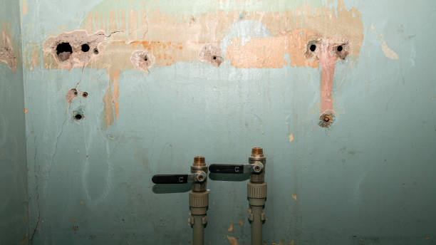 Best Flood restoration services  in Woodville, OH