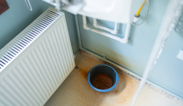 Best Mold removal after water damage  in Woodville, OH