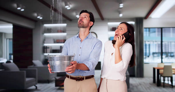 Best Sewage cleanup and water damage restoration  in Woodville, OH
