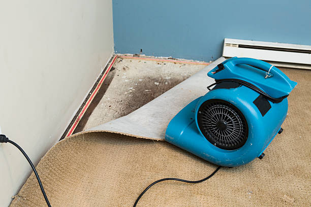 Best Water damage restoration near me  in Woodville, OH